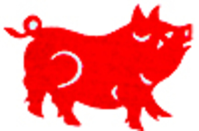 2007 - Anul Porcului de Foc