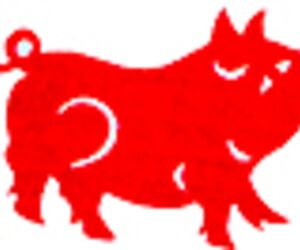 2007 - Anul Porcului de Foc Fengshui-bp