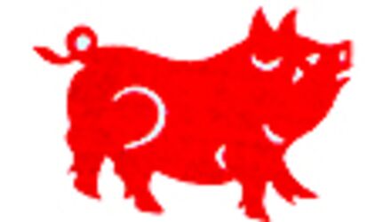 2007 - Anul Porcului de Foc - Fengshui-bp